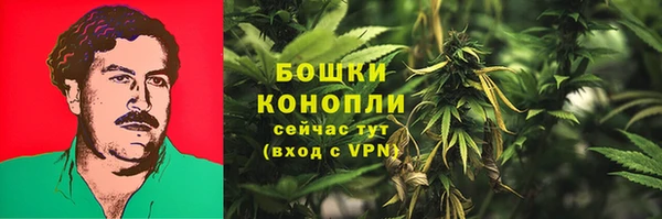 ешки Алзамай